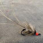 Pot Belly Pig Sommerflue Grå